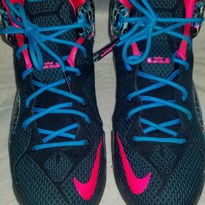 Nike Jordan leBron shoes 7y